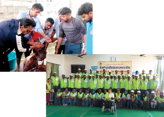 Staff and Volunteers
