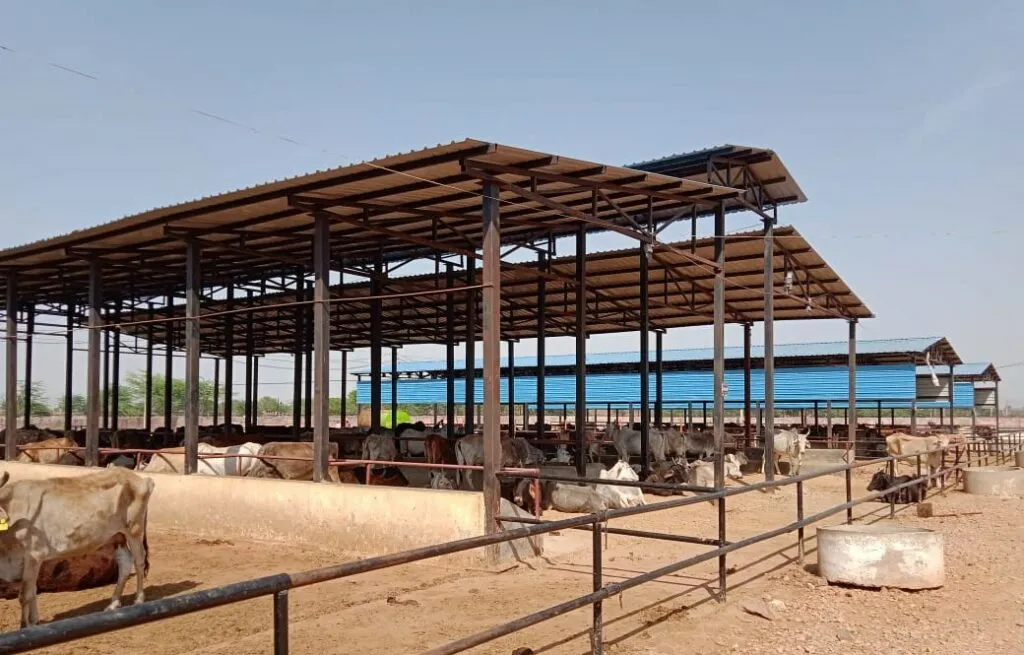 Lohagarh Gaushala cow caretakers