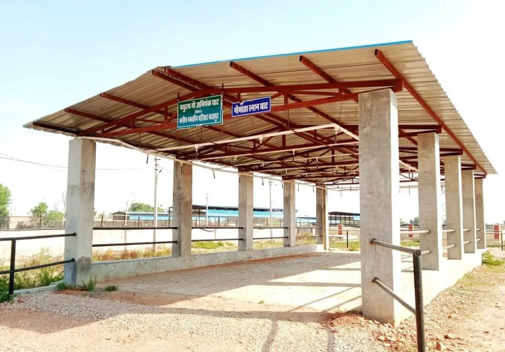 Lohagarh Gaushala cows in shelter