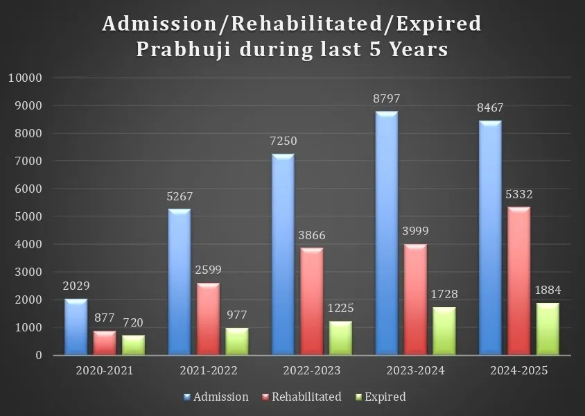 Expenditure of the Organization