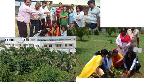 Plantation during rainy season