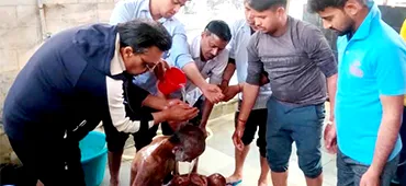 Volunteers at Apna Ghar Ashram
